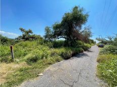 Terreno in vendita a Tequesquitengo Morelos Jojutla