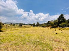 Terreno in vendita - Valle de Bravo, Messico