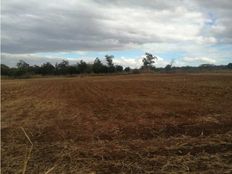 Terreno in vendita a Tonalá Jalisco Tonalá