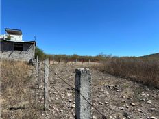 Terreno di 80000 mq in vendita - Morelia, Messico