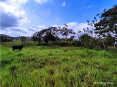 Fattoria in vendita a La Chorrera Panamá Oeste Distrito de La Chorrera