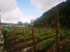 Casale di lusso in vendita Volcán, Provincia de Chiriquí