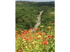 Casale di lusso in vendita Río Hato, Provincia de Coclé