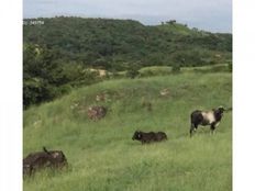 Casale di lusso in vendita San Carlos, Panamá Oeste