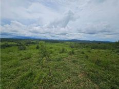 Fattoria in vendita a Metetí Provincia del Darién Distrito de Pinogana