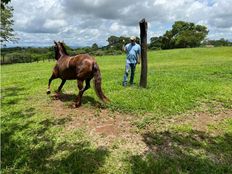 Fattoria in vendita a La Chorrera Panamá Oeste Distrito de La Chorrera