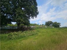 Casale di lusso in vendita Penonomé, Provincia de Coclé