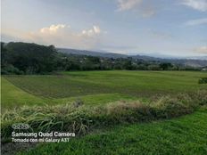 Fattoria in vendita a Alajuela Provincia de Alajuela Cantón de Alajuela