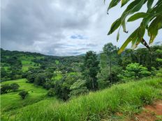 Terreno in vendita - Bajo Pérez, Provincia de San José