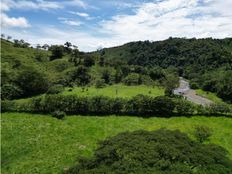 Terreno - Osa, Provincia de Puntarenas