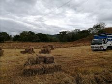 Fattoria in vendita a Puntarenas Provincia de Puntarenas Cantón de Puntarenas