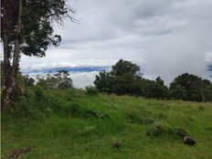 Fattoria in vendita a Poás Provincia de Alajuela 