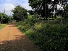 Fattoria in vendita a Bajo Pérez Provincia de San José Acosta