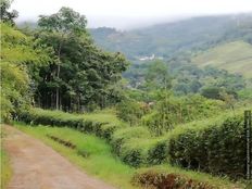 Fattoria in vendita a Bajo Pérez Provincia de San José Acosta