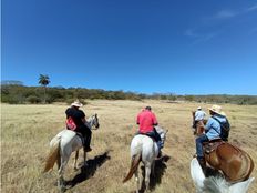 Fattoria in vendita a Bagaces Provincia de Guanacaste Bagaces