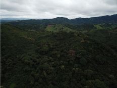 Fattoria in vendita a Cañas Provincia de Guanacaste Cañas