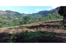 Terreno in vendita - Naranjo, Provincia de Alajuela