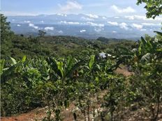 Fattoria in vendita a Bajo Pérez Provincia de San José Acosta