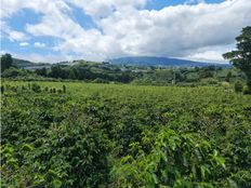 Fattoria in vendita a Poás Provincia de Alajuela 