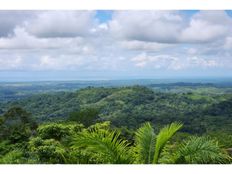 Terreno in vendita - Parrita, Provincia de Puntarenas