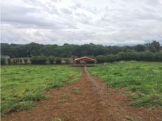 Fattoria in vendita a Alajuela Provincia de Alajuela Cantón de Alajuela