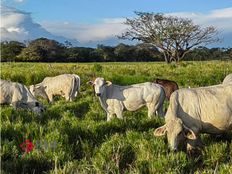 Appartamento di prestigio in vendita Cañas, Costa Rica