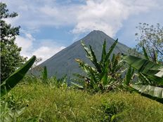 Fattoria in vendita a Quesada Provincia de Alajuela San Carlos