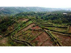 Fattoria in vendita a San Ramón Provincia de Alajuela San Ramón