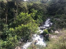 Terreno di 762400 mq in vendita - Bajo Pérez, Costa Rica