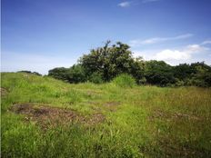 Fattoria in vendita a Turrúcares Provincia de Alajuela Cantón de Alajuela