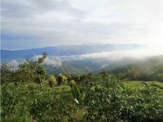 Fattoria in vendita a Bajo Pérez Provincia de San José Acosta