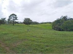 Fattoria in vendita a Quesada Provincia de Alajuela San Carlos