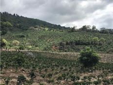 Fattoria in vendita a Paraíso Provincia de Cartago Paraíso