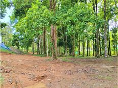 Terreno in vendita a Osa Provincia de Puntarenas 