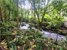 Fattoria in vendita a Bajo Pérez Provincia de San José Acosta