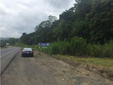 Fattoria in vendita a Naranjo Provincia de Alajuela Naranjo