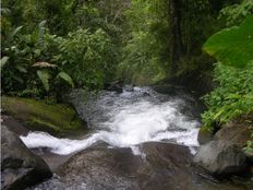 Fattoria in vendita a Bajo Pérez Provincia de San José Acosta