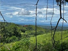 Fattoria in vendita a Osa Provincia de Puntarenas 