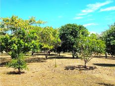 Lussuoso casale in vendita Atenas, Provincia de Alajuela