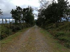 Fattoria in vendita a Bajo Pérez Provincia de San José Acosta