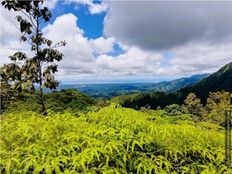 Fattoria in vendita a Osa Provincia de Puntarenas 