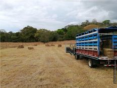 Fattoria in vendita a Puntarenas Provincia de Puntarenas Cantón de Puntarenas