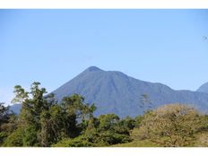 Fattoria in vendita a Sarapiquí Provincia de Heredia Sarapiquí