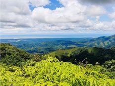 Fattoria in vendita a Osa Provincia de Puntarenas 