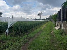 Terreno - Santo Domingo, Costa Rica