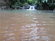 Terreno di 70000 mq - San Isidro, Provincia de San José