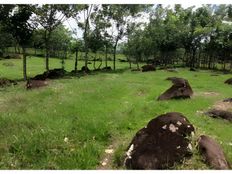 Fattoria in vendita a Guápiles Provincia de Limón Pococí