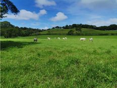 Fattoria in vendita a Dos de Abangares Provincia de Guanacaste Abangares