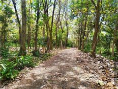 Terreno in vendita a Osa Provincia de Puntarenas 