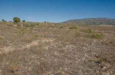 Terreno in affitto a Pinoso Comunità Valenciana Provincia de Alicante